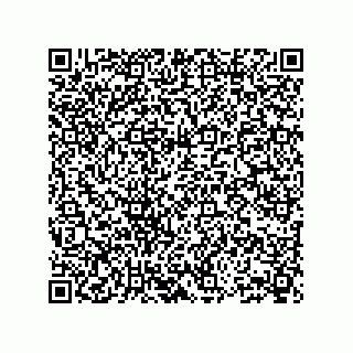 vCard 73904279379