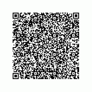 vCard 73904279381