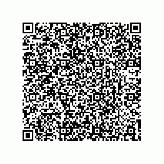 vCard 73904279382