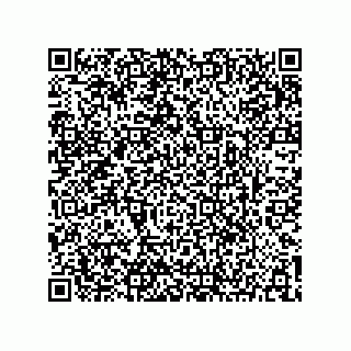 vCard 73904279385