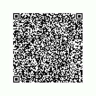 vCard 73904279391