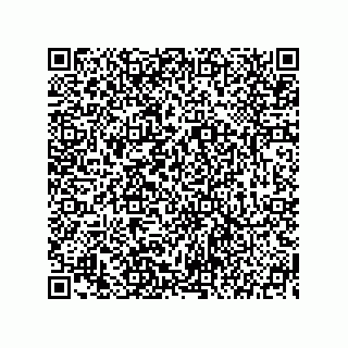 vCard 73904729711