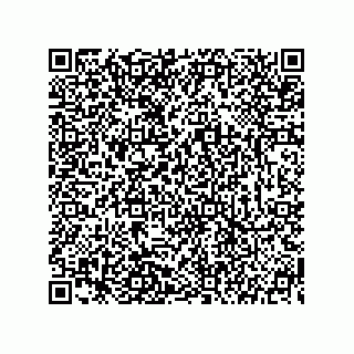 vCard 73904729731