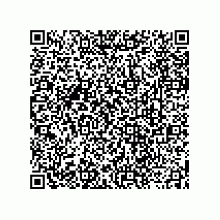 vCard 73912100335