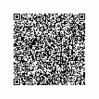 vCard 73912113933