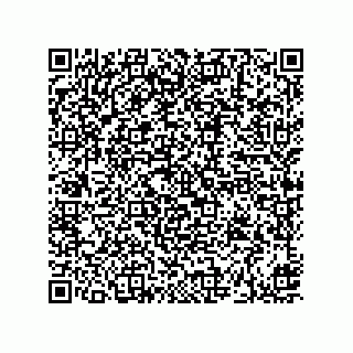 vCard 73912529133