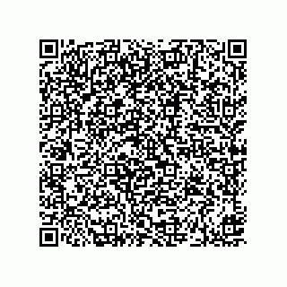 vCard 73912529137