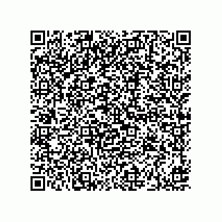 vCard 73912529159