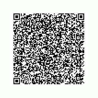 vCard 73912529209
