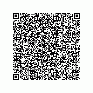 vCard 73912740311