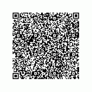 vCard 73912740313