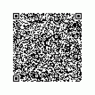 vCard 73912941311