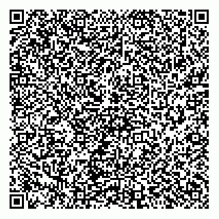 vCard 73912941313