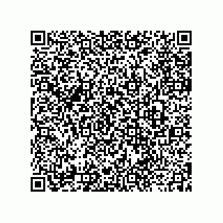 vCard 73912941381
