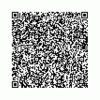 vCard 73913329031
