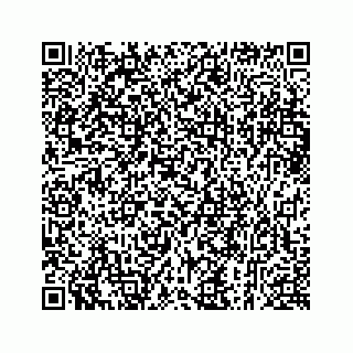 vCard 73913329037