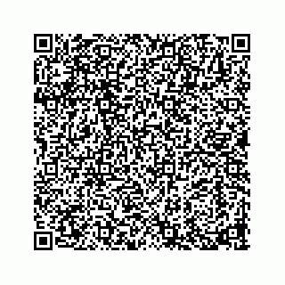 vCard 73913329048