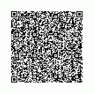 vCard 73913329061