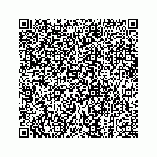 vCard 73913329079