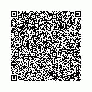 vCard 73913329114