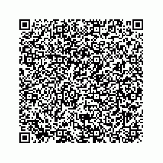 vCard 73913329115