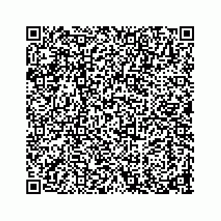 vCard 73913329119