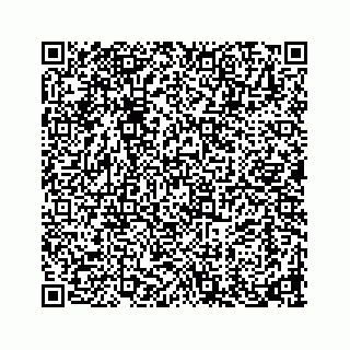 vCard 73913329131