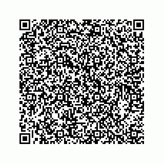 vCard 73913329133