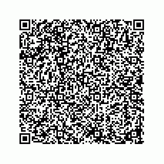 vCard 73913329138