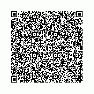 vCard 73913329149