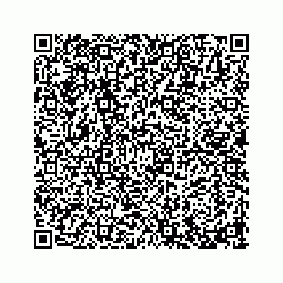 vCard 73913329158