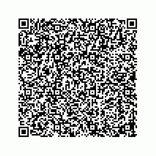 vCard 73913329181