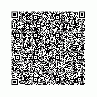 vCard 73913329184