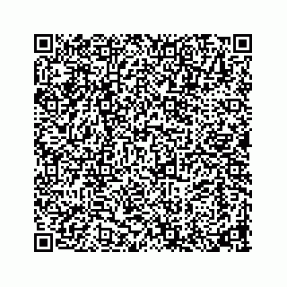 vCard 73913329187