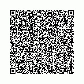 vCard 73913329197
