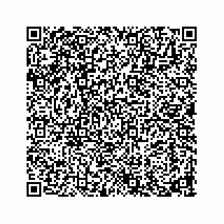 vCard 73913329213