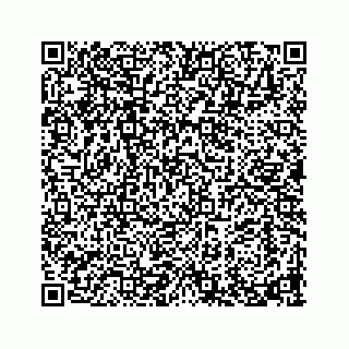 vCard 73913329217