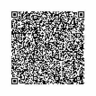 vCard 73913329231