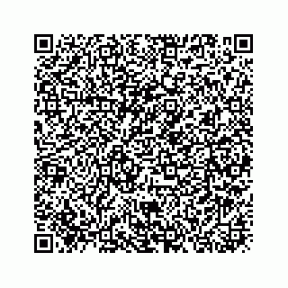 vCard 73913329248