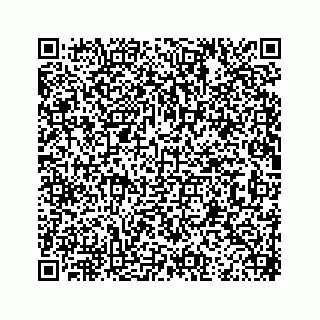vCard 73913329250