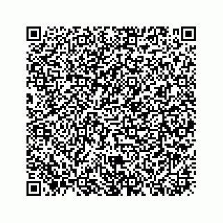 vCard 73913329255