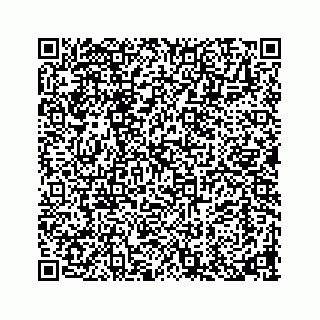 vCard 73913329263