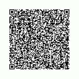 vCard 73913329271