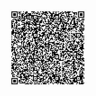vCard 73913329286
