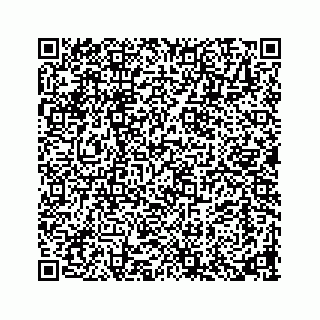 vCard 73913329287