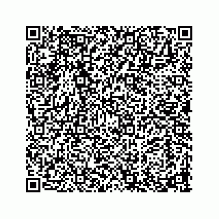 vCard 73913329293