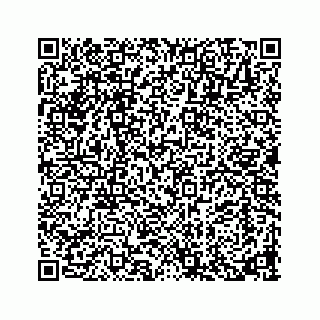 vCard 73913329305