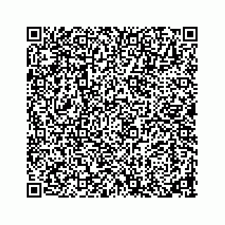 vCard 73913329307