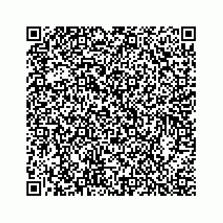 vCard 73913329311
