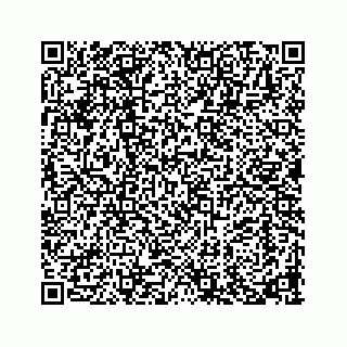vCard 73913329312